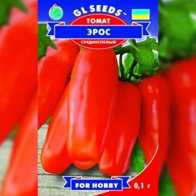 Помідор Ерос фото