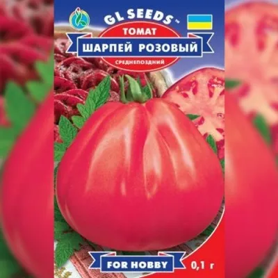 Помідор Шарпей рожевий TM Gl Seeds фото