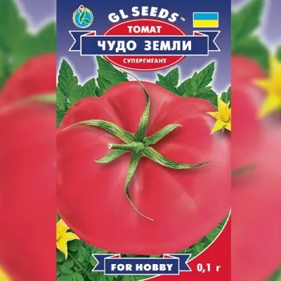 Помідор Диво землі фото