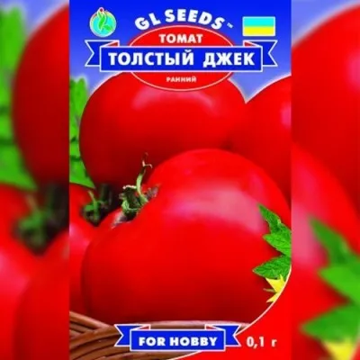 Томат Товстий Джек фото