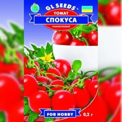Помідор Спокуса черрі фото