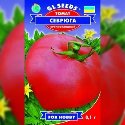 Помідор Севрюга фото