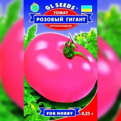 Помідор Рожевий гігант ТМ GL Seeds фото