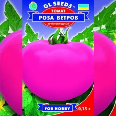 Помідор Роза вiтрiв фото