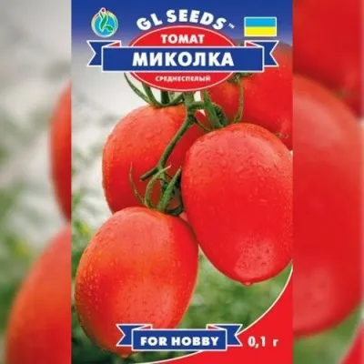 Помідор Миколка фото