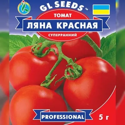 Помідор Ляна Червона фото