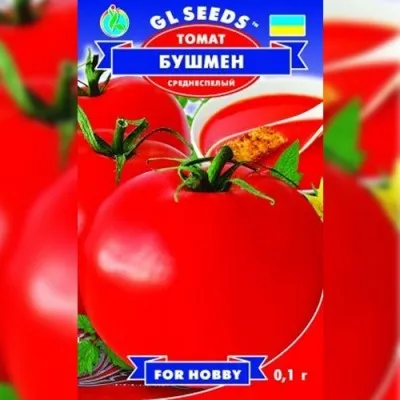 Помідор Бушмен фото