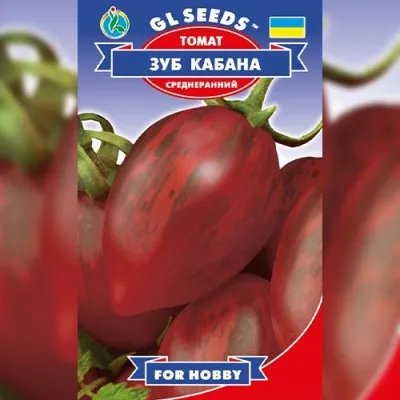 Помідор Зуб кабана фото