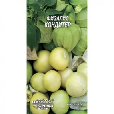Фізаліс Кондитер фото