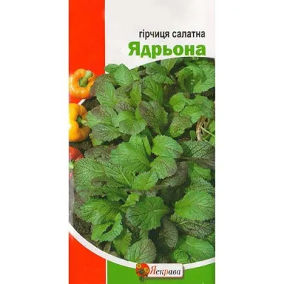 Гірчиця салатна Ядрьона 1г фото
