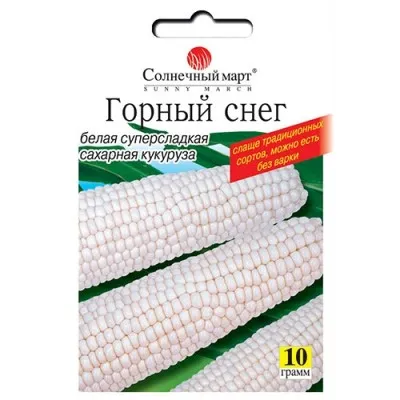 Кукурудза Гірський сніг фото