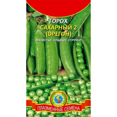 Горох Орегон фото