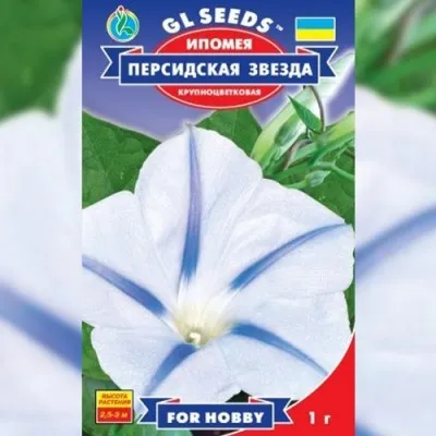Іпомея Персидська зiрка фото