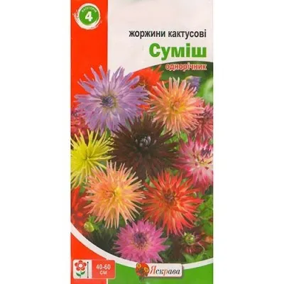Жоржини кактусові суміш фото
