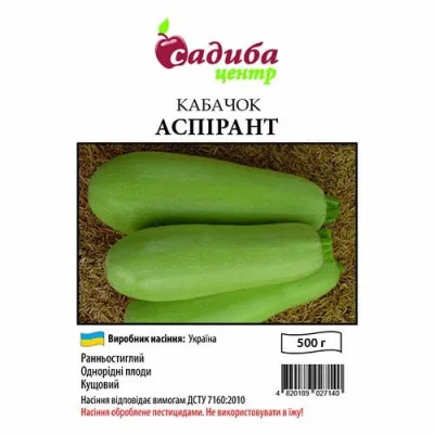 Кабачок Аспірант фото