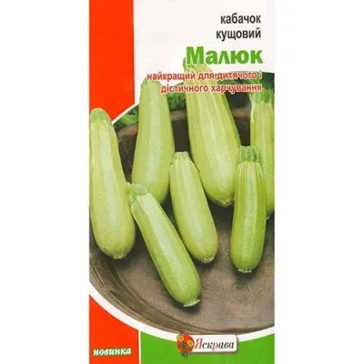 Кабачок Малюк фото