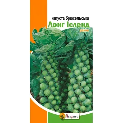 Капуста Брюссельська Лонг Ісленд (рання) фото