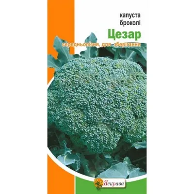 Капуста Броколі Цезар фото