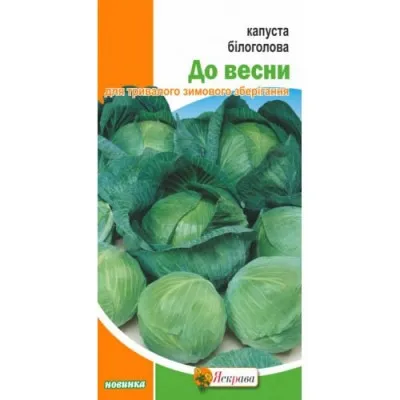 Капуста білоголова До весни фото