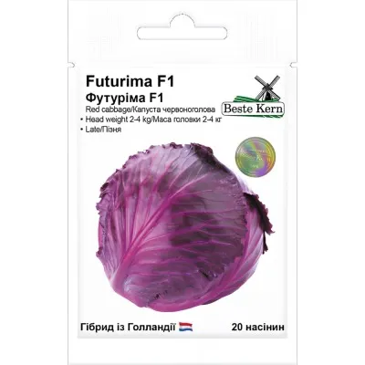 Капуста Червонокачанна Футуріма F1, пізня фото