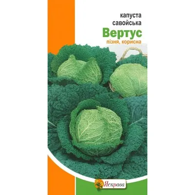 Капуста Савойська Вертус фото