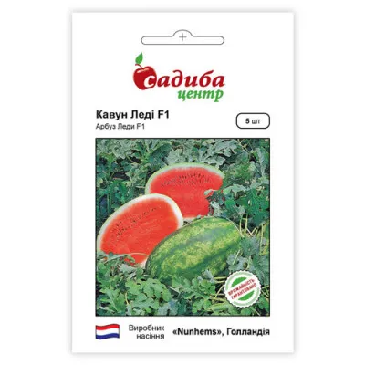 Кавун ранній Леді F1 фото