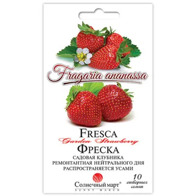 Полуниця Фреска фото