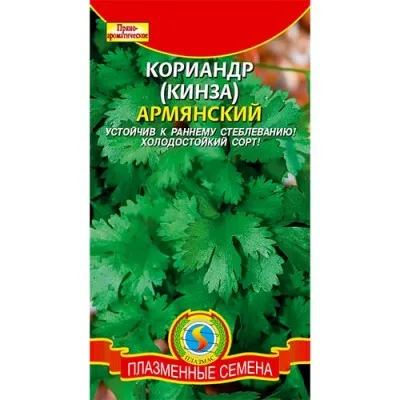 Коріандр Вірменський фото