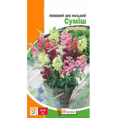 Левовий Зів низький суміш фото