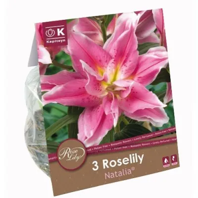 Лілія Roselily Natalia (Брендові цибулини KAPITEYN®) фото