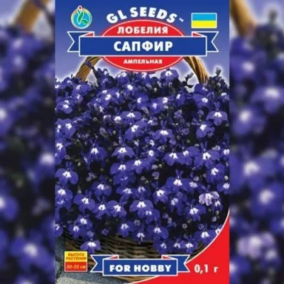 Лобелія Сапфір фото