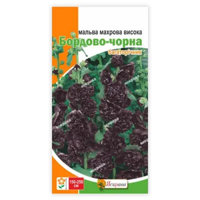 Мальва махрова Бордово-чорна фото