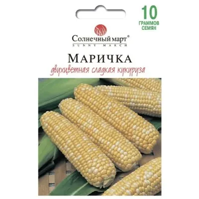 Кукурудза Марічка фото