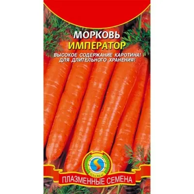 Морква Імператор фото