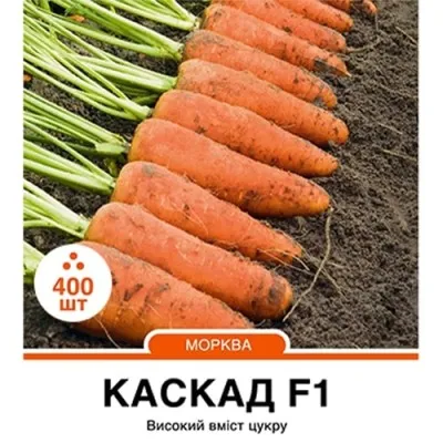 Морква Каскад F1 фото