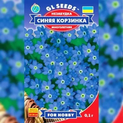 Незабудка Синій кошик фото