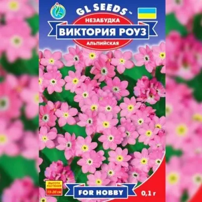 Незабудка Вiкторiя Роуз фото