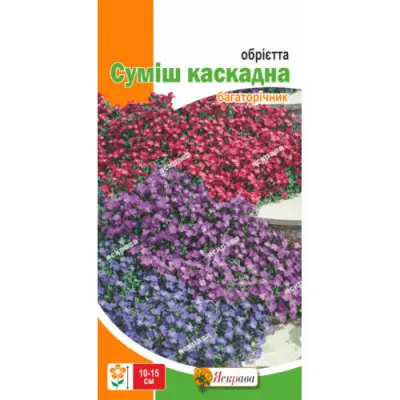 Обрієтта суміш каскадна фото