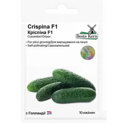 Огірок Кріспіна F1, ТМ Beste Kern фото