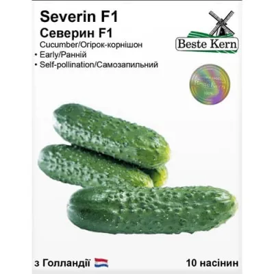 Огірок Северин F1, ТМ Beste Kern фото