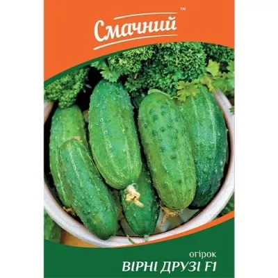 Огірок Вірні друзі F1 фото