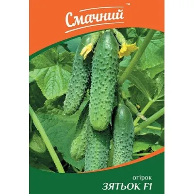 Огірок Зятьок F1 фото