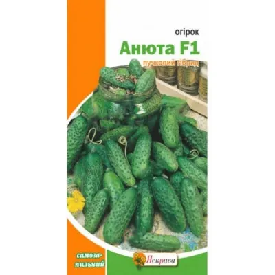 Огірок Анюта F1 фото