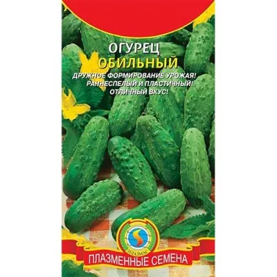 Огірок Рясний фото