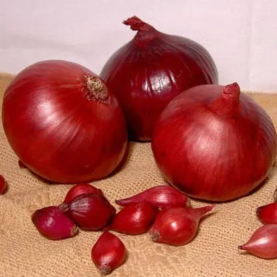 Цибуля Red Сarmen 3 кг фото