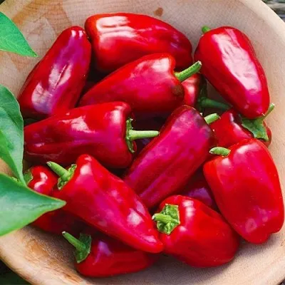 Перець Букет Сходу фото