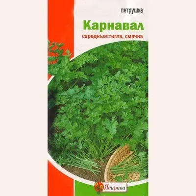 Петрушка Карнавал фото