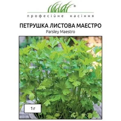 Петрушка Маестро фото