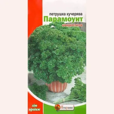 Петрушка Парамоунт фото