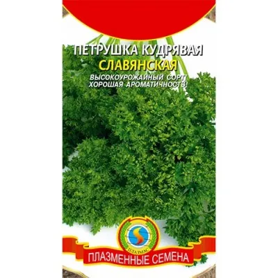 Петрушка Слов'янська фото